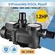 1.2hp Pool Pump, 3630gph Above Ground Inground Swimming Pool Pump, 220v, 50-60hz