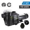 1.5/2hp 110-240v In Ground Swimming Pool Pump Motor With Strainer 2 Thread Npt