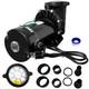1.5 Hp Swimming Pool Pump For Hayward, In/above-ground With Strainer Basket