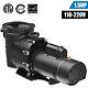 1.5hp 110-240v Inground Swimming Pool Pump Motor With Strainer &npt For Hayward