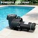 2.0 Hp Swimming Pool Pump In/above Ground With Motor Strainer Basket 115v/220v