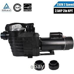 2.5HP 2 Speed Inground Swimming Pool Pump 9000/4140GPH 2 NPT 220-240V Hayward