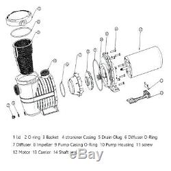 2HP 115-230v Inground Swimming Pool pump motor Strainer Hayward Replacement