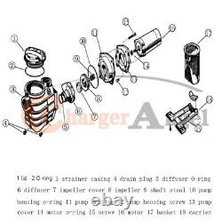 2HP 2 thread NPT IN GROUND Swimming POOL PUMP MOTOR 115-230v