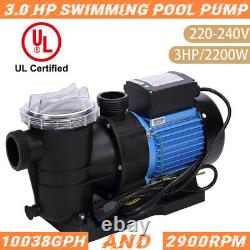 3.0HP Swimming Pool Pump Large Strainer 230v Replacement Cert. Inground Pump
