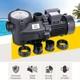 3hp High Flow Single Speed Self Priming Above Ground Inground Swimming Pool Pump