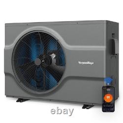 65,000 BTU Hard-Wired Swimming Pool Heater 240V for Above Ground Inground Pools