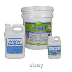 Cool Pool Deck Coating 200 Square Foot Bundle