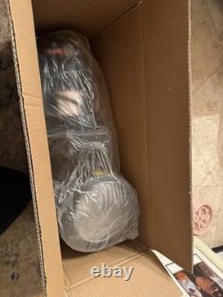 Dual Speed High-Flo INGROUND Swimming POOL PUMP