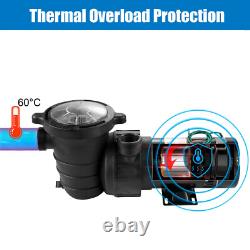 Hayward 2HP Above/Inground Swimming Pool Pump Motor 96GPM 49' Max 1.5in NPT 115V