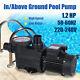 Inground Pool Swimming Pool Pump 3 Hp Pump 220v/240v Self-priming With Filter