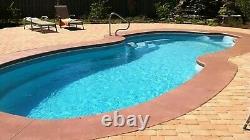 Large Freeform Swimming Pool 29'10 X 13'6