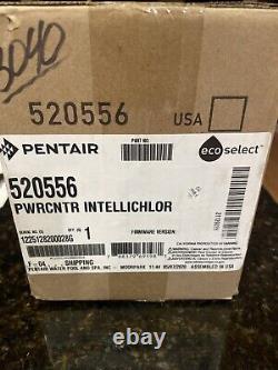 Pentair 520556 intellichlor power center