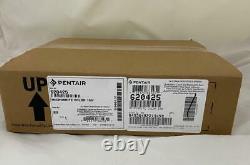 Pentair Microbrite Color LED 12V 100FT Cord 620425