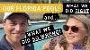 Pools In Florida What We Did Right And What We Did Wrong Our Lakewood Ranch Pool Story