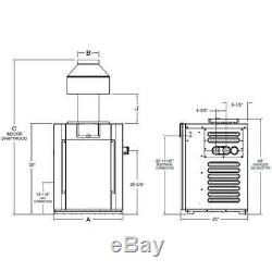 Raypak 009192 Millivolt Natural Gas 200K BTU Swimming Pool Heater