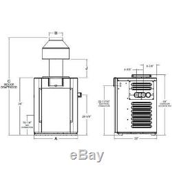 Raypak 009226 Digital Propane 336K BTU Swimming Pool Heater