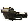 Rx Clear Super Hi-flow In-ground Swimming Pool Pump 48 Frame (various Hp)