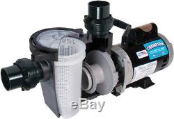 Waterway Champion 1.5 HP Inground Swimming Pool Pump Champs115